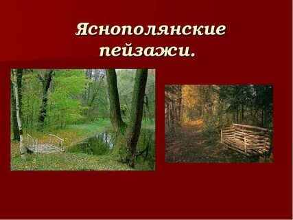 Ясная поляна 1 чудесное место
