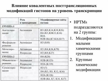 Уровень модификации