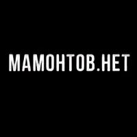 34 подписчика