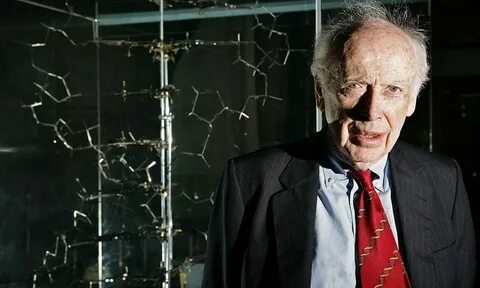 Who are scientists