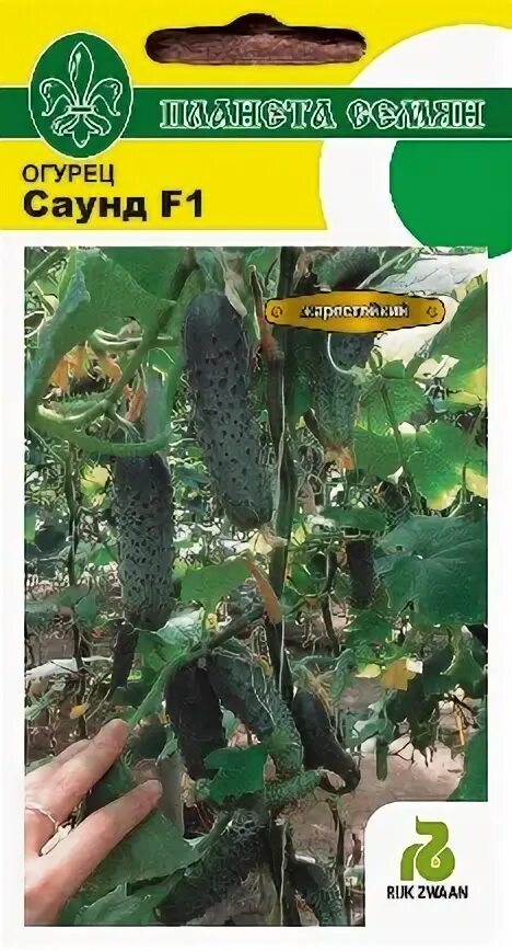Огурец саунд. Огурец саунд f1 размеры. Огурец саунд f1 описание отзывы фото. Огурец саунд. Огурец саунд f1 описание отзывы фото.