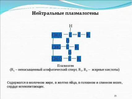 15 нейтральный
