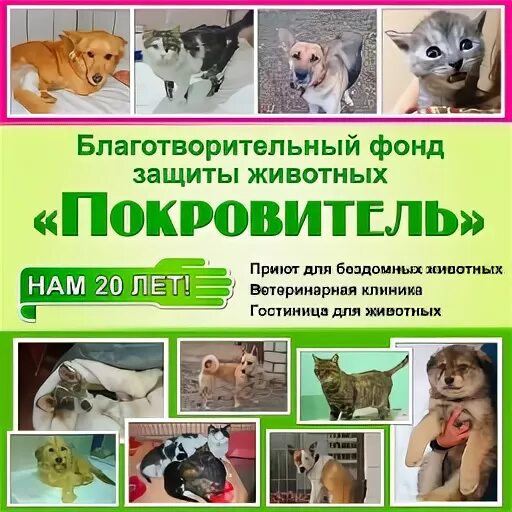 Названия приютов