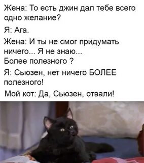 Я котик самбука текст