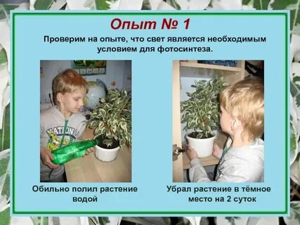 Удаленный эксперимент