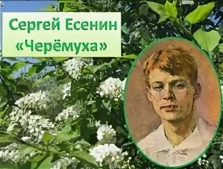 Стих черемуха 3 класс