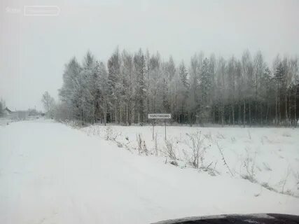 Д толстиково