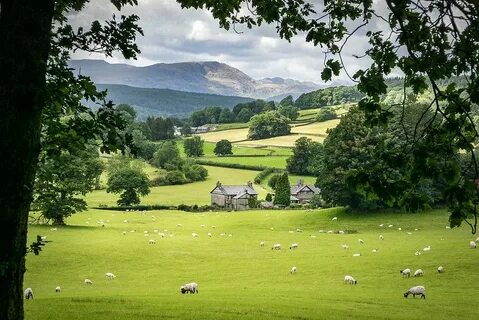 Landscape is
