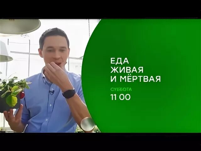 Еда живая и мертвая шашлык. Еда живая и мертвая шашлык