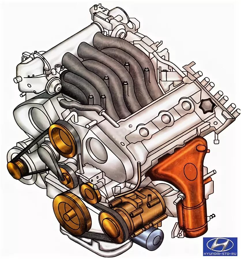 Ford fe firing order 