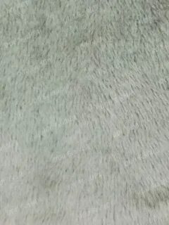Белмех