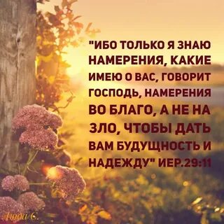 Ибо только я знаю намерения