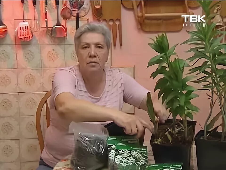 Огородных девиц с тетей таней. Институт огородных тетя таня. голова садовая тетя таня лилии. институт огородных девиц с тётей. советы тети тани 2025 год.