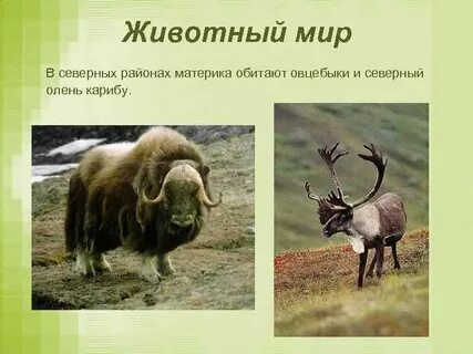 Як жив