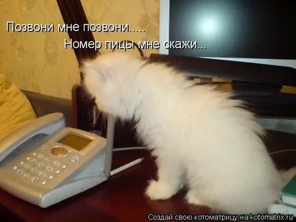 И на звонки не то