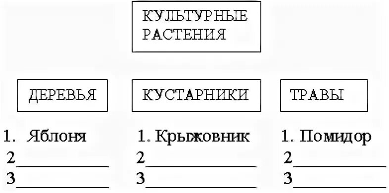 Культурные растения 2 класс конспект
