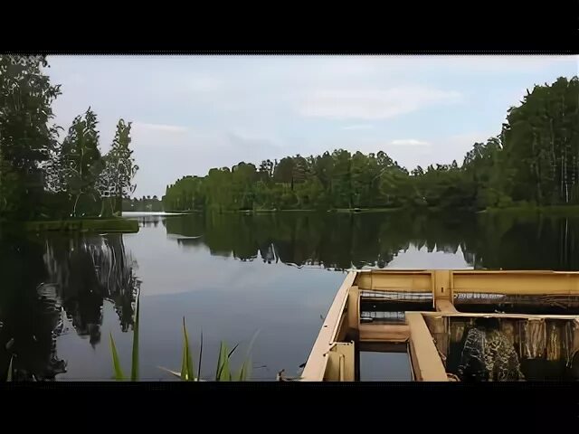 Погода в васкелово на 3 дня