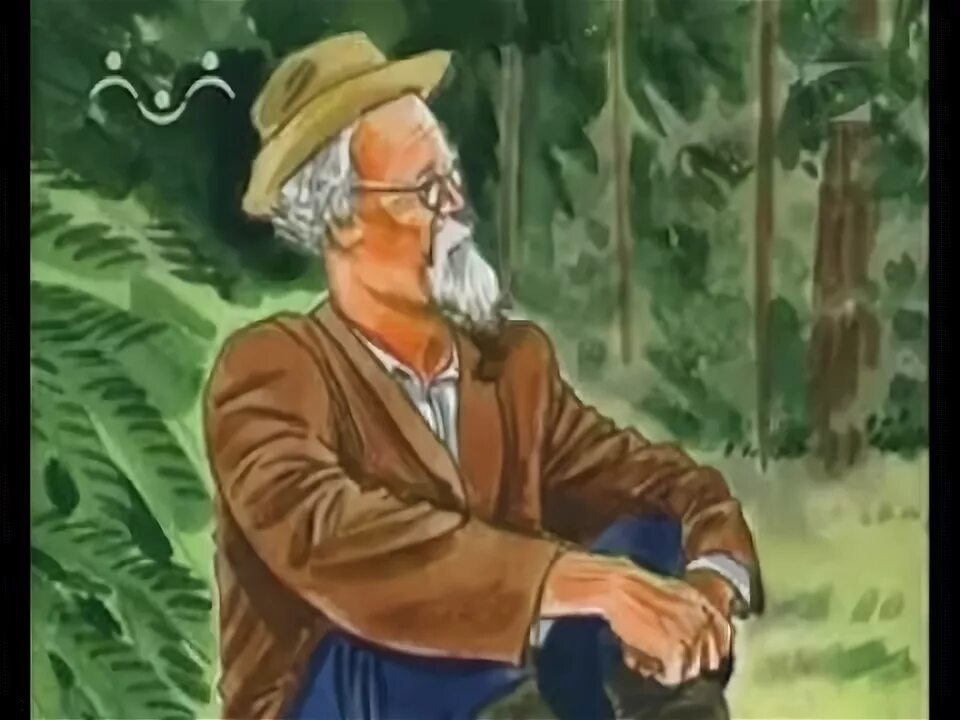 М пришвин лесной. Книга пришвина лесной хозяин. «лесной шатер» м. М пришвин лесной. Лесной хозяин пришвин иллюстрации.