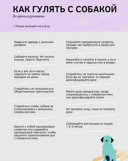 Сколько раз гулять