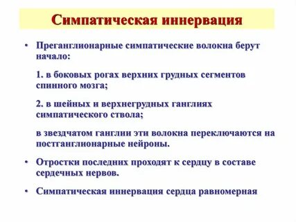 Преганглионарные волокна спинного мозга образованы