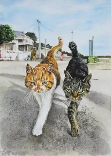 Путь коте