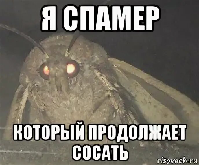 Ну отсоси мне. Пекарь с первого этажа манхва. Отсосешь? надпись. Отвратительный мем. Ну отсоси мне.