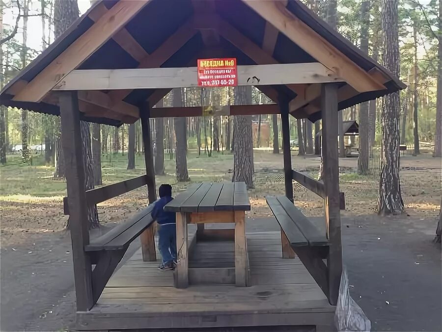 Заельцовский парк Новосибирск беседки. Заельцовский парк беседки с мангалом. Беседки в Заельцовском парке Новосибирск. Заельцовский парк беседки с мангалом Новосибирск. Беседка заельцовский