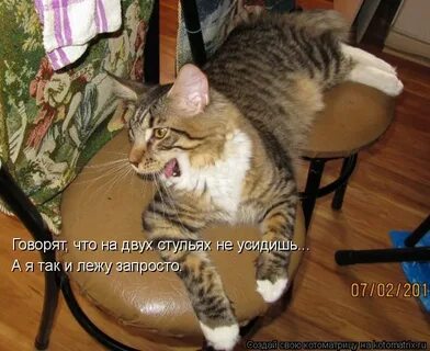 Не могут усидеть на одном