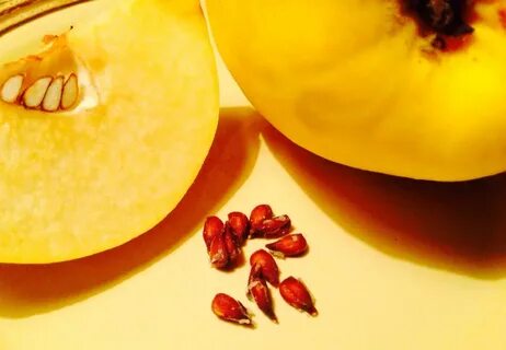 Айва вкус