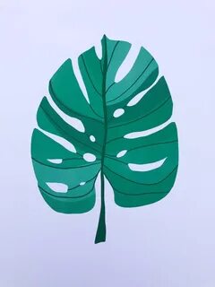 Лист монстеры картинка
