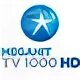 Телеканал блокбастер программа передач. Tv1000 premium. tv1000 megahit. телеканал tv 1000 hd. tv1000 premium телеканал.