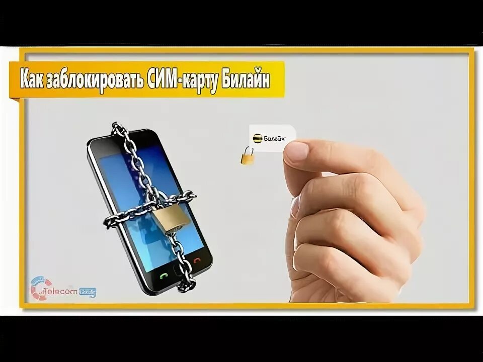 Заблокирована сим карта Билайн: как разблокировать - Все о банках