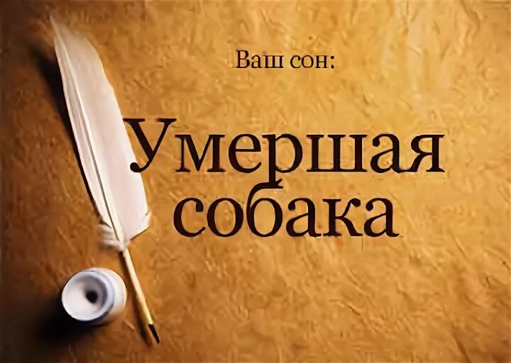 К чему снится умершая собака живой