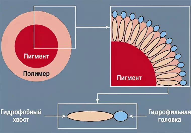 Строение пигментов. Схема цифровой печати пигментными красителями на ткани. Синяк этапы и пигменты анатомия.