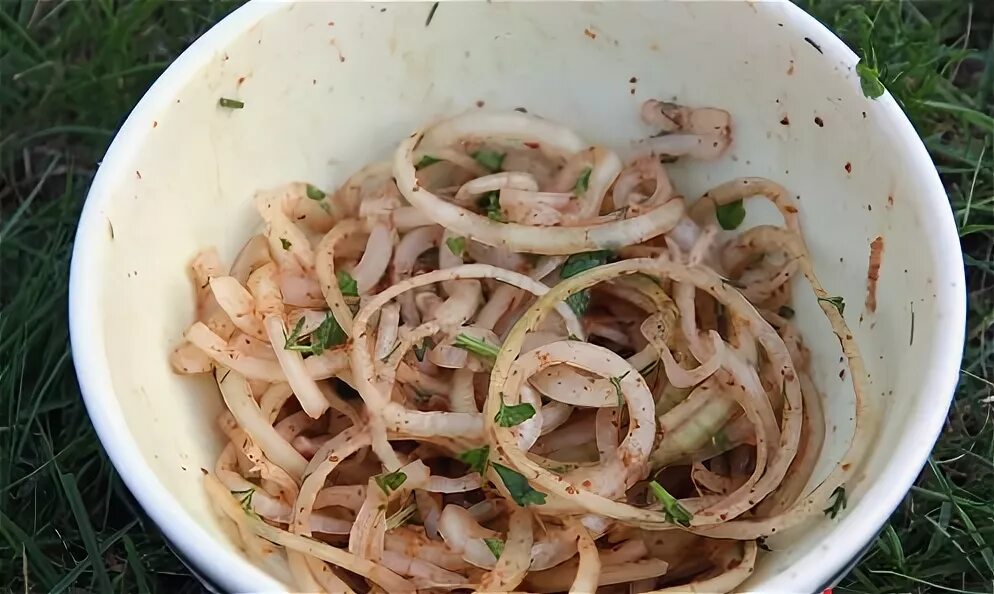 Как правильно замариновать вкусно лук. Шашлык с луком. маринованный лук к шашлыку. маринованный лук к шашлыку с уксусом.