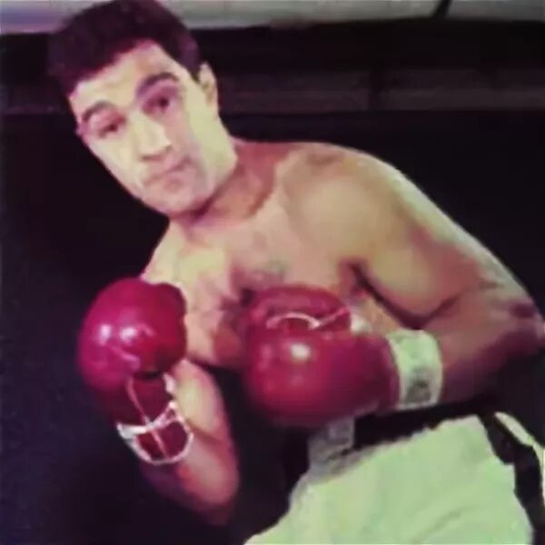 Актеры из рокки. Значение имени рокки для собаки. Клички для шпица. Кличка рокки. Рок имя.