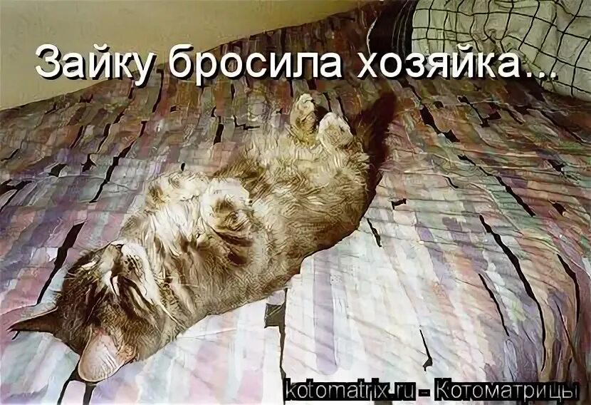 Зайку бросила хозяйка прикол. Зайку бросила хозяйка холостым остался. Стишок про зайку бросила хозяйка прикол. Мужчина бросает женщину. Зайку бросила хозяйка холостым.