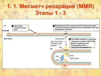 Репарации после