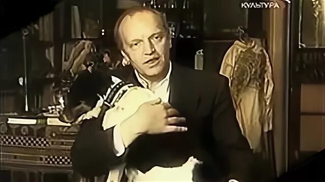 Кайдановский собака. Кайдановский в молодости. Кайдановский и его собака. Кайдановский актер. Кайдановский.