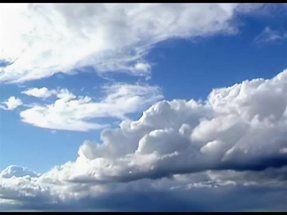 Туча минусовка. Туча минусовка