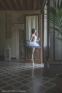 Дэвид гамильтон