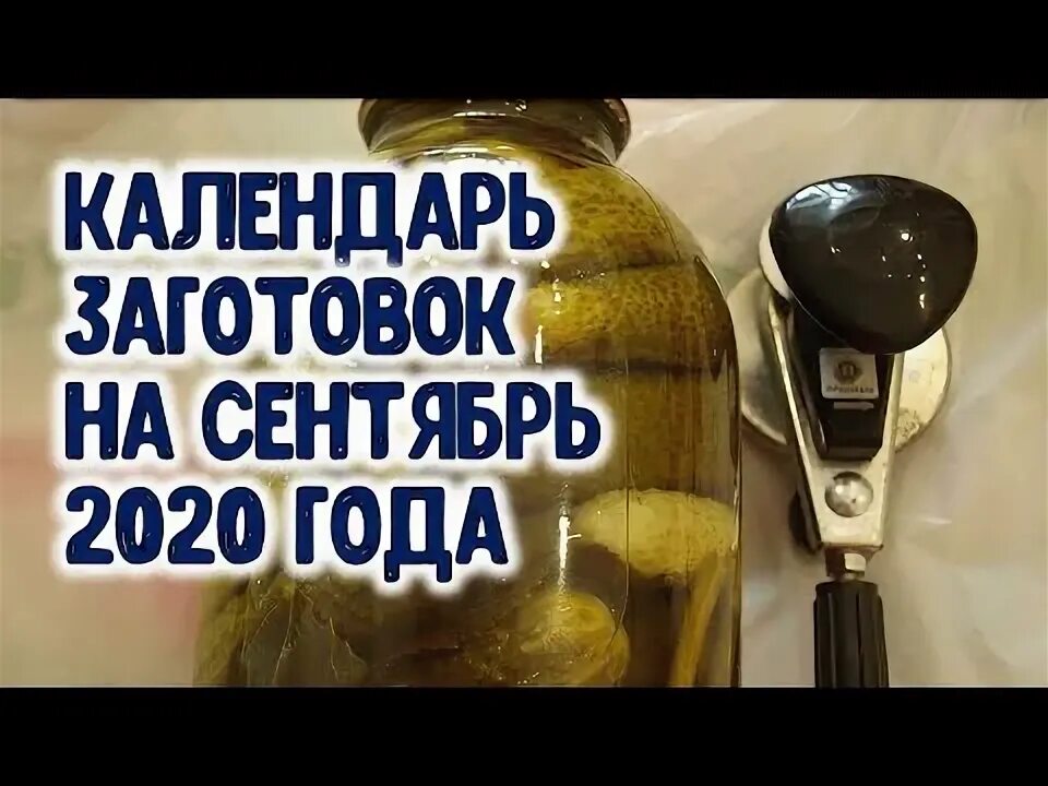 Календарь заготовок на зиму в августе. Календарь заготовок на зиму в августе