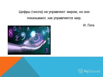 Введение в мир числа