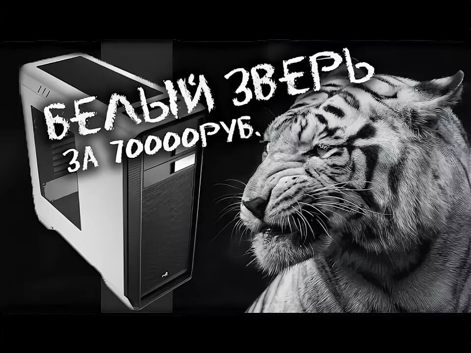 Видеокарта geforce 9800 gtx. Gtx tiger. Gtx tiger. Gtx tiger. Gtx tiger.