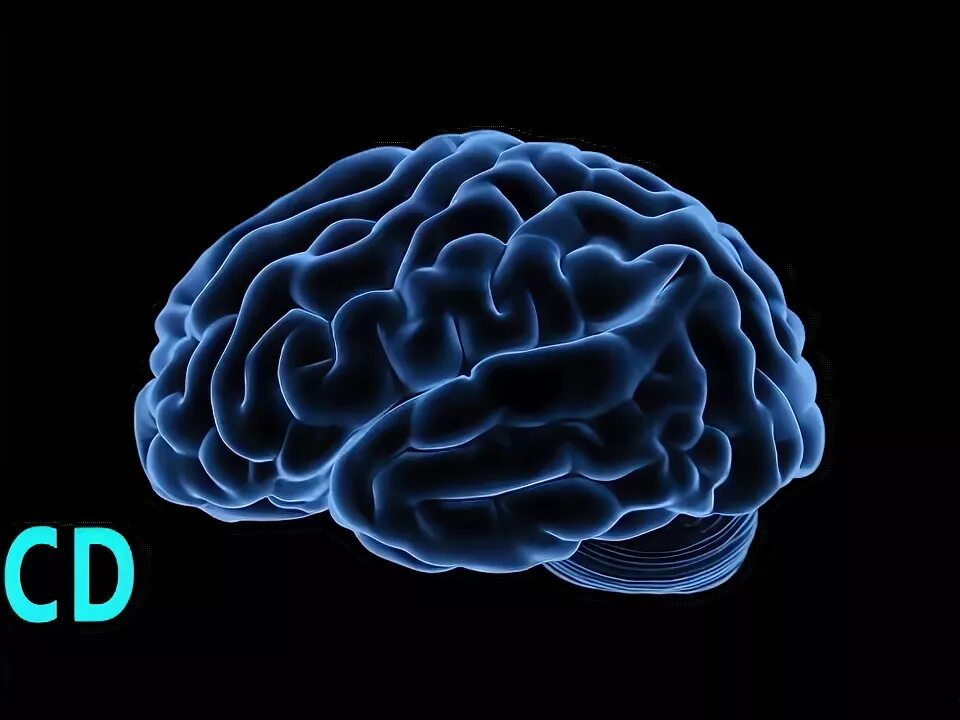 мозги матрица. мозг интеллект. цифровой мозг. нейронная сеть. мозг на зеленом фоне.