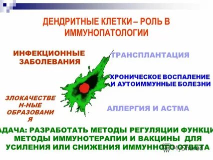 Центр аллергии