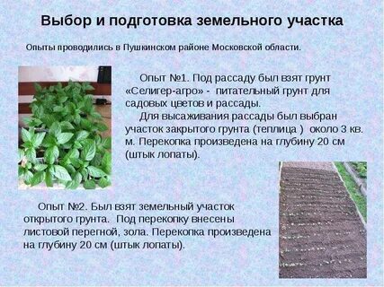 Опыт районов