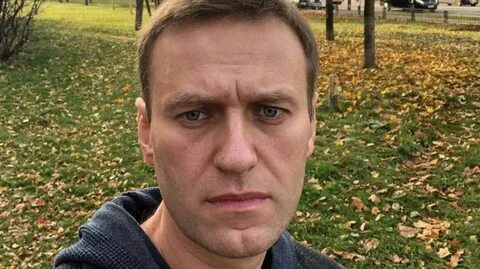 Карнаухов о навальном
