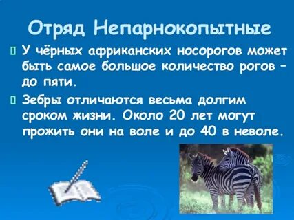 Характеристика непарнокопытных