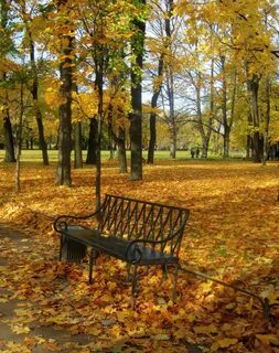 Майский осень